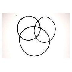 CINGHIA 25mm 1.2x1.2