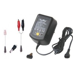 Battery charger for NiCd NiMh battery packs