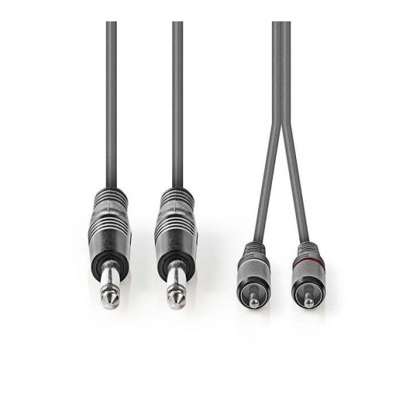Cavo audio 2 RCA M - 2 JACK 6.3mm 3mt