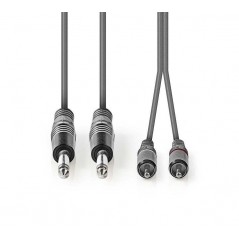 Cavo audio 2 RCA M - 2 JACK 6.3mm 3mt